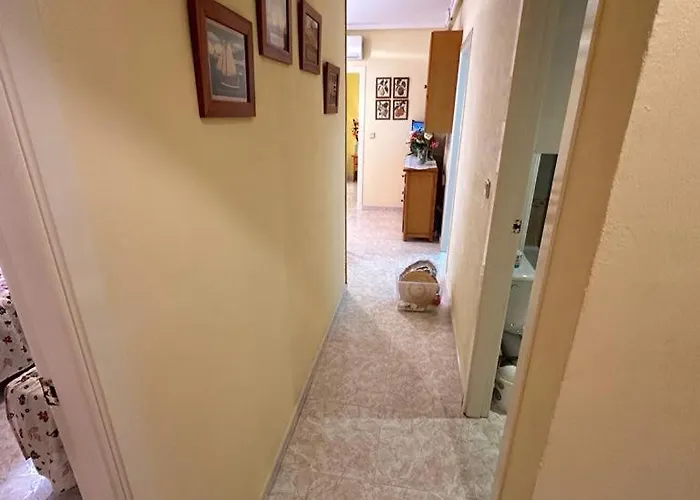 Precioso Apto En Calle San Pascual Con Piscina Cerca De Todos Servicios * Torrevieja